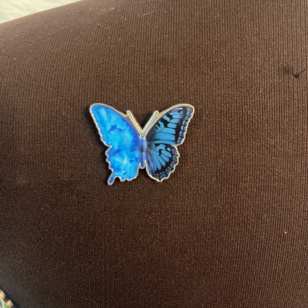 Blue Butterfly Brooch